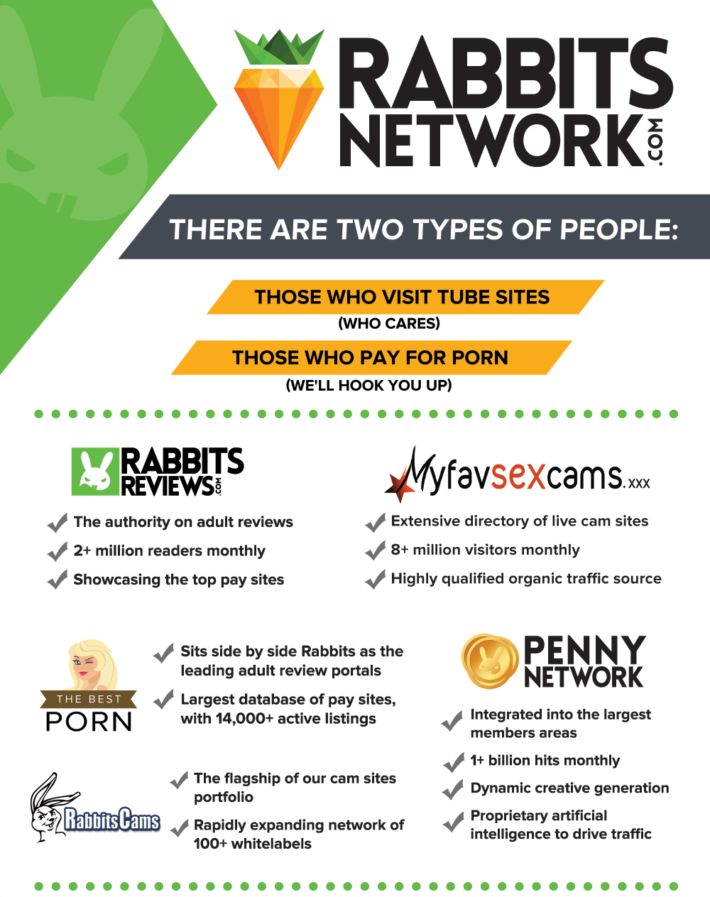 Rabbits Flyer
